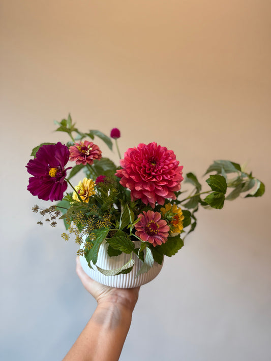 Small Compote